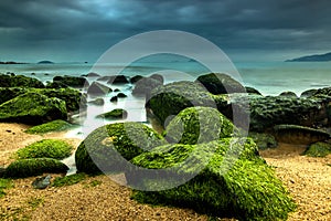 Nature Seascape with Green Moss Covered Rocks at Beach and Dark, Dramatic Sky during A Storm