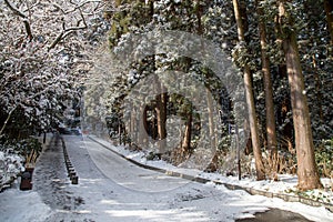 Nature of Sendai park, Japan