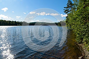 Scenes of lakes and forests. photo