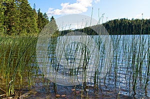 Scenes of lakes and forests. photo