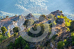 Nature of the sierra de tramuntana, mallorca, spain photo