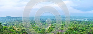 The nature of Sigiriya