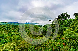 Nature of Sky Adventures Arenal Park and lake of Arenal, Fortuna, Costa Rica. Central America