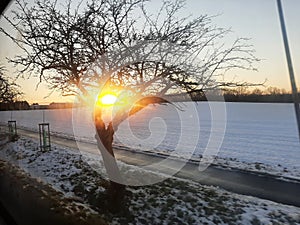 Nature sky sun sunet snow