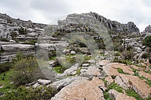 Nature Spot torcal of Antequera in the province of Malaga, Andaluci