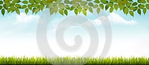 Nature spring background with grass and leaves.