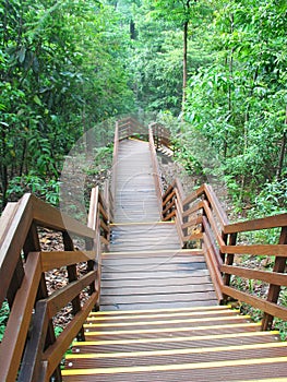 Natur Treppe 