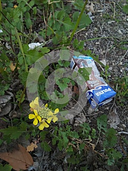 The man and the nature