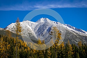 Nature in Strbske pleso