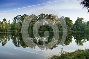 Nature Summer Landscape Reflection Water and Trees