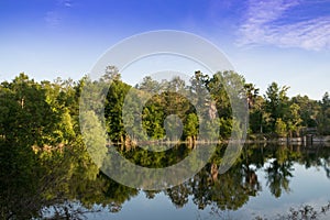 Nature Summer Landscape Reflection Water and Trees