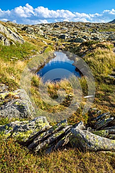 Nature summer scene on Grimselpass