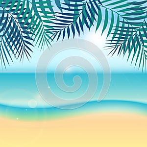 Nature summer vacation tropical background with green palm leaf