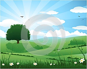 Nature sunburst background