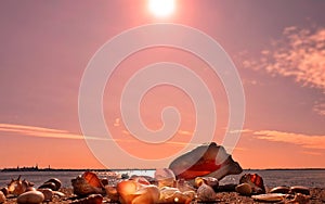 Nature sunset background Romantic beautiful sunset afternoon at sea on horizon Baltic Sea boat coral seashell on the rock sea sky