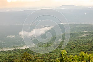 The nature of sunset and mist in rainforest.