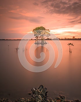 Nature sunset sunrise landscape beautiful tropical longexposure