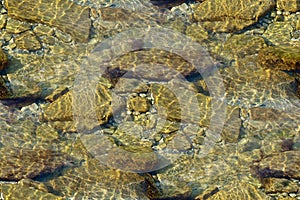 Nature surface seamless pattern