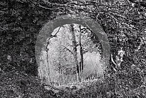 When Nature Takes Back Its Rights