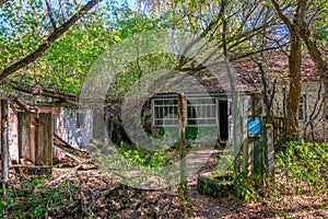 Nature takes over an abandoned village inside of the Chernobyl Exclusion Zone in the Ukraine