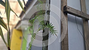 Nature Taking Back What is Hers