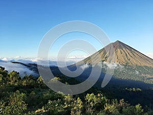 Nature from the top of the mountain