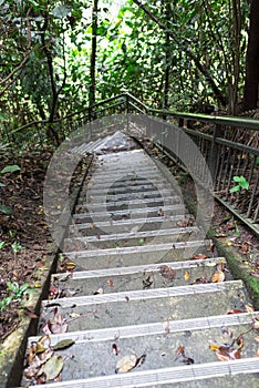 Nature Trail