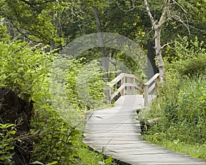 Nature Trail