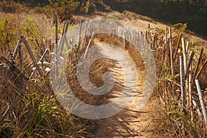 A nature trail with bamboo fencing through a meadow