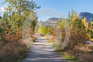 Nature trail through forest with autumn leaves, mountains, and blue sky