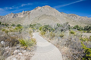 Nature Trail - Guadalupe Mountains National Park