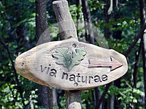 Nature trail indicator