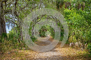 Nature Trail At Lake Seminole Park