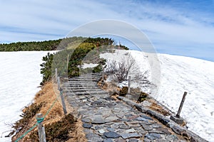 Nature trail at Murodo on Tateyama Kurobe Alpine Route