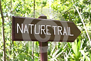 Nature Trail panel