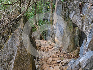 Nature trail on Pha Ngeun in vangvieng City Laos.