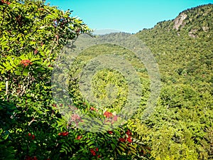 Nature trail scenes to calloway peak north carolina photo