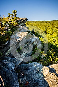 Nature trail scenes to calloway peak north carolina photo