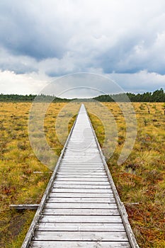 Nature trail to a wooden footbridge