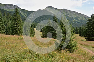 Nature Trail - Zadne Medodoly - in Belianske Tatras.