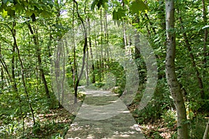 Nature trails