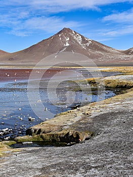 Nature trails and volcanic rocks around the shores of the colorful Laguna Colorada, in the Eduardo Avaroa National Reserve, Uyuni