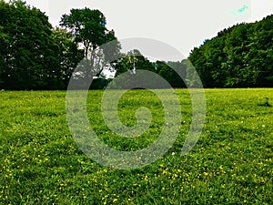 Nature trails, waterways, sky flowers are comparable to the paths of life.