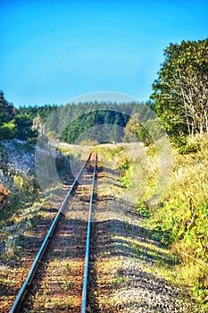 Nature Traintrack