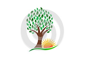 Nature Tree and Vibrant Sun, vector logo
