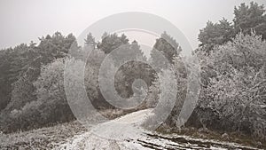 Nature covered in snow during winter. Slovakia