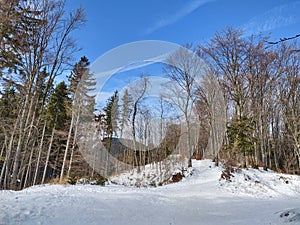 Nature under the snow with sun and shadows in winter.