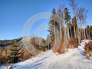 Nature under the snow with sun and shadows in winter.