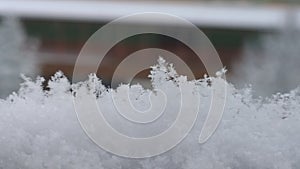 Nature under the snow during winter. Slovakia