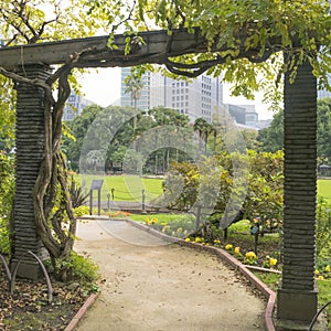 Nature or urban background with view of Hibiya park in Tokyo